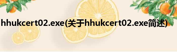 hhukcert02.exe(对于hhukcert02.exe简述)