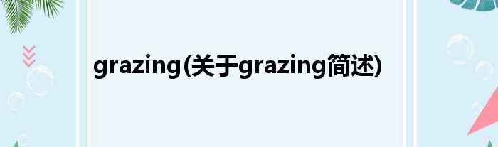 grazing(对于grazing简述)