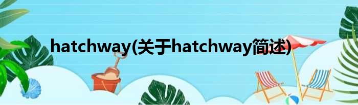 hatchway(对于hatchway简述)