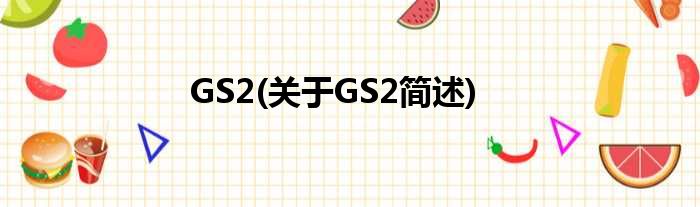 GS2(对于GS2简述)