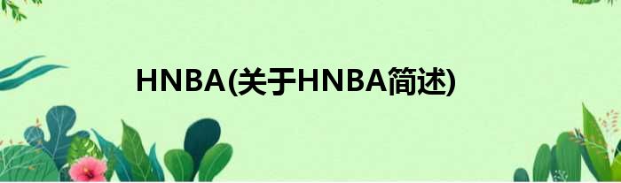HNBA(对于HNBA简述)