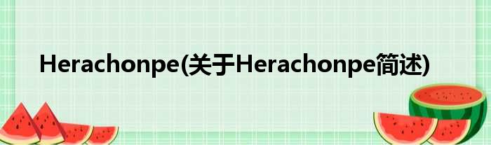 Herachonpe(对于Herachonpe简述)