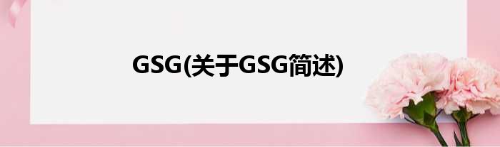 GSG(对于GSG简述)