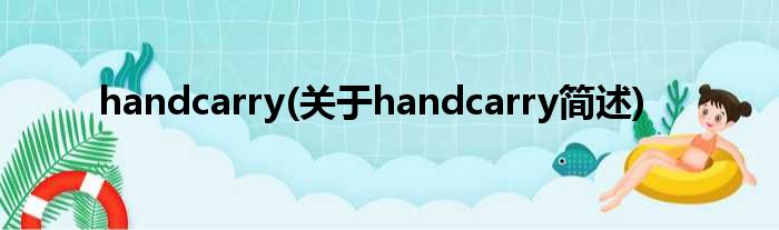 handcarry(对于handcarry简述)