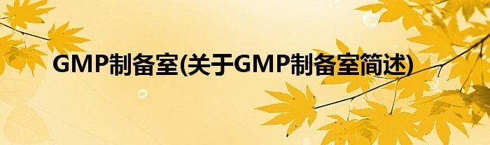 GMP制备室(对于GMP制备室简述)