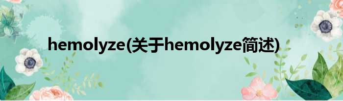 hemolyze(对于hemolyze简述)