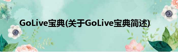 GoLive宝典(对于GoLive宝典简述)