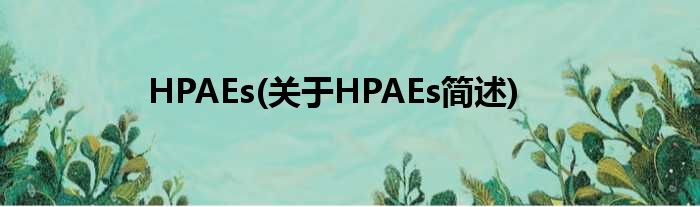HPAEs(对于HPAEs简述)
