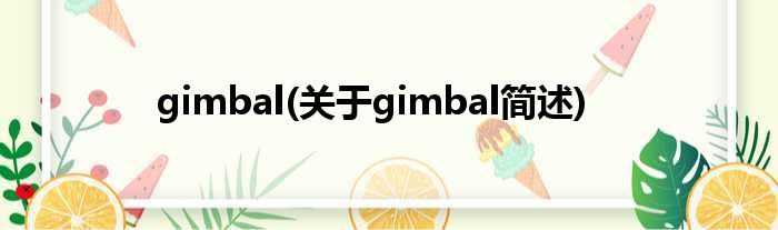 gimbal(对于gimbal简述)
