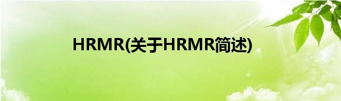 HRMR(对于HRMR简述)