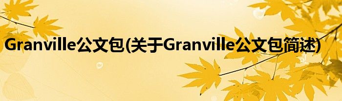 Granville公文包(对于Granville公文包简述)