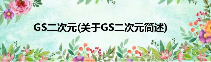 GS二次元(对于GS二次元简述)