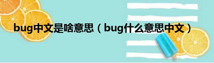 bug中文是啥意思（bug甚么意思中文）