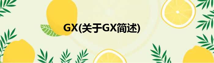GX(对于GX简述)