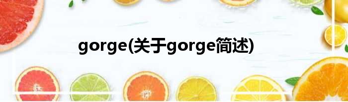 gorge(对于gorge简述)