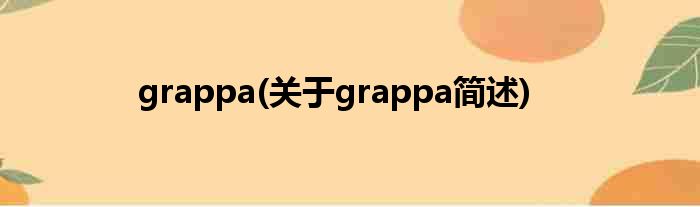 grappa(对于grappa简述)