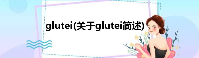 glutei(对于glutei简述)