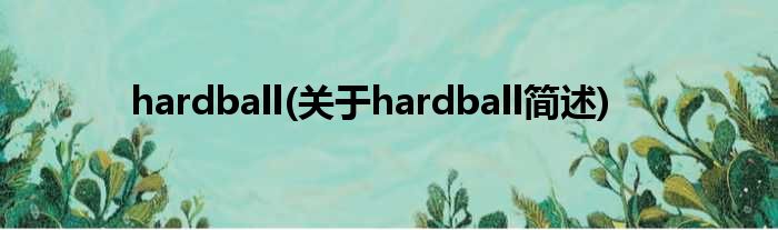 hardball(对于hardball简述)