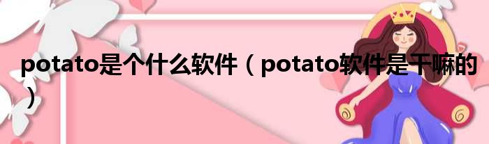 potato是个甚么软件（potato软件是干嘛的）