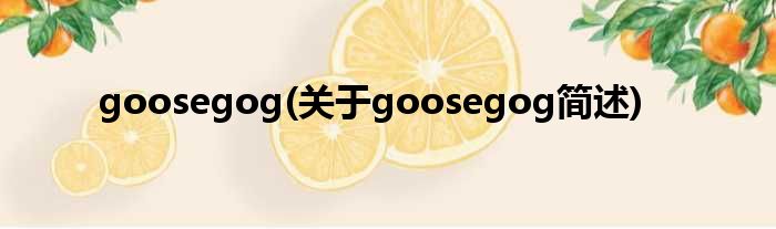goosegog(对于goosegog简述)
