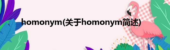 homonym(对于homonym简述)