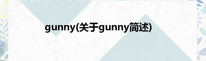 gunny(对于gunny简述)
