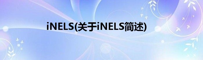 iNELS(对于iNELS简述)