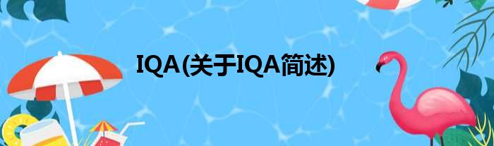 IQA(对于IQA简述)