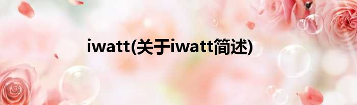 iwatt(对于iwatt简述)