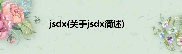 jsdx(对于jsdx简述)
