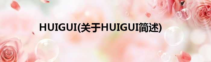 HUIGUI(对于HUIGUI简述)