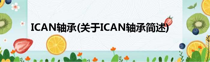 ICAN轴承(对于ICAN轴承简述)