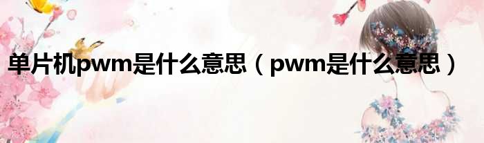 单片机pwm是甚么意思（pwm是甚么意思）