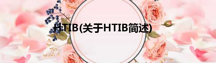 HTIB(对于HTIB简述)