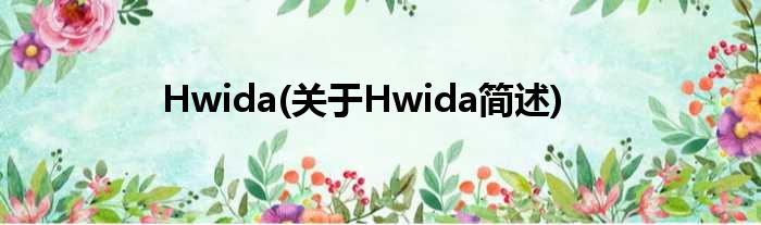 Hwida(对于Hwida简述)
