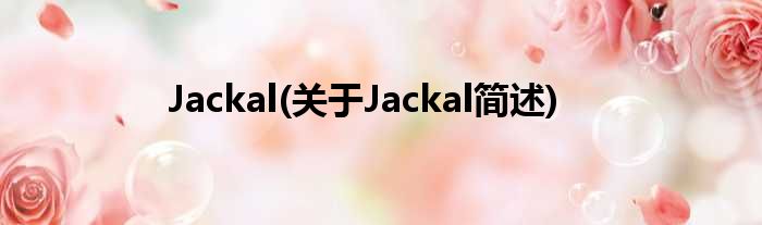 Jackal(对于Jackal简述)
