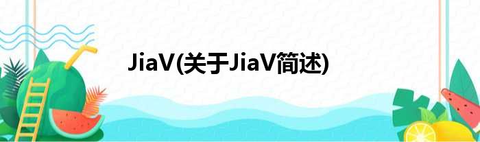 JiaV(对于JiaV简述)