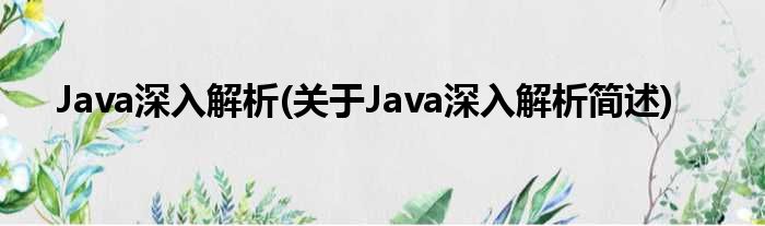 Java深入剖析(对于Java深入剖析简述)