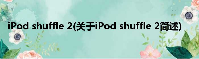 iPod shuffle 2(对于iPod shuffle 2简述)