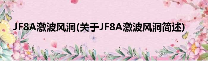 JF8A激波风洞(对于JF8A激波风洞简述)