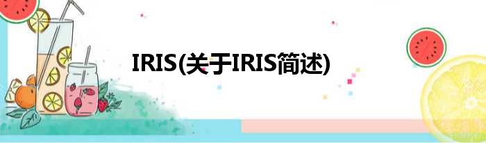 IRIS(对于IRIS简述)