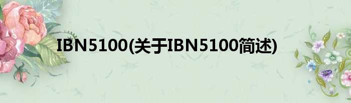 IBN5100(对于IBN5100简述)