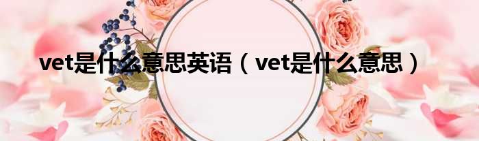 vet是甚么意思英语（vet是甚么意思）