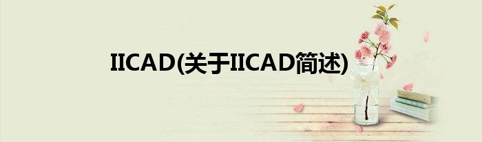IICAD(对于IICAD简述)