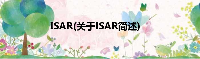 ISAR(对于ISAR简述)