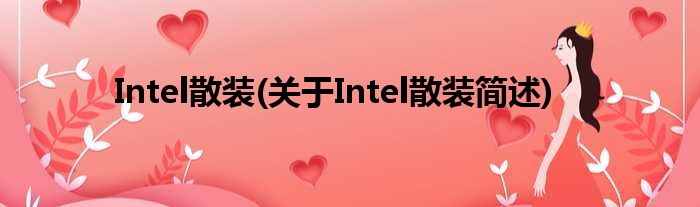 Intel散装(对于Intel散装简述)