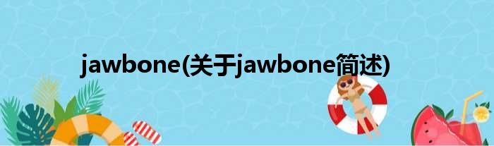 jawbone(对于jawbone简述)