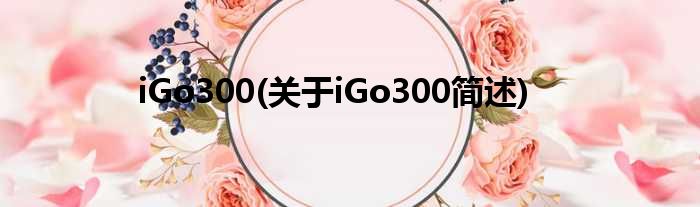 iGo300(对于iGo300简述)