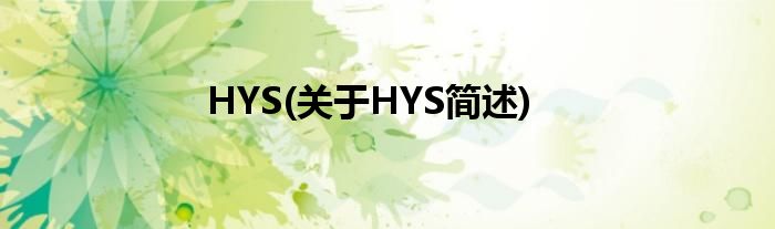HYS(对于HYS简述)