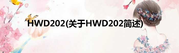 HWD202(对于HWD202简述)